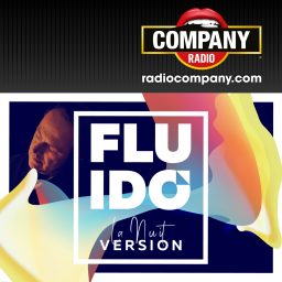 Artwork for Fluidó