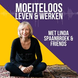 Artwork for Moeiteloos Leven & Werken