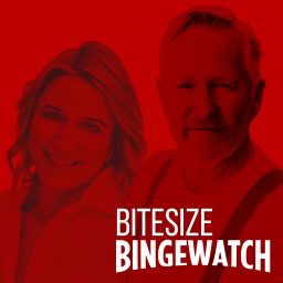 Artwork for Bitesize Bingewatch