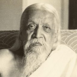 Artwork for Sri Aurobindo und die Mutter - der Integrale Yoga