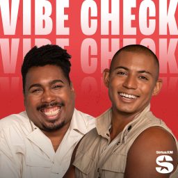 Artwork for Vibe Check