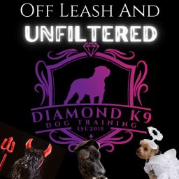 Artwork for Off Leash And Unfiltered