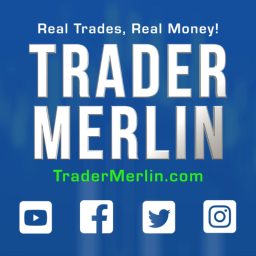 Artwork for TraderMerlin
