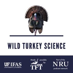 Artwork for Wild Turkey Science