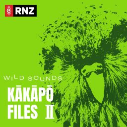 Artwork for Wild Sounds: Kākāpō Files II