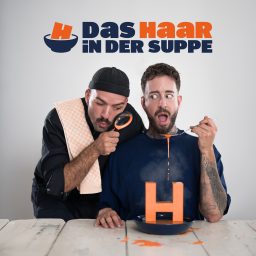 Artwork for Das Haar in der Suppe