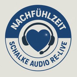 Artwork for Nachfühlzeit