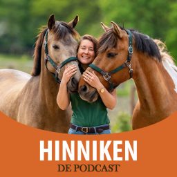 Artwork for Hinniken de Podcast
