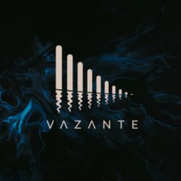 Artwork for Vazante