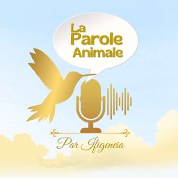 Artwork for La Parole Animale, par Ifigeneia