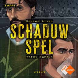 Artwork for Schaduwspel