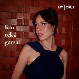 Artwork for Kur teka garsai