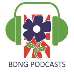 Artwork for BDNG Podcasts