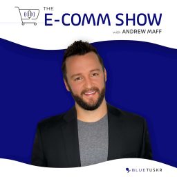 Artwork for The E-Comm Show
