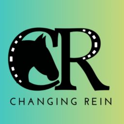 Artwork for Changing Rein
