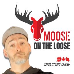 Artwork for Moose on The Loose