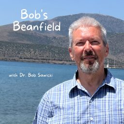 Artwork for Bob's Beanfield