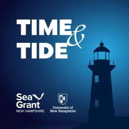 Artwork for Time and Tide