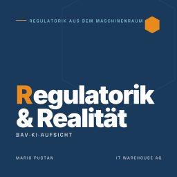 Artwork for Regulatorik & Realität