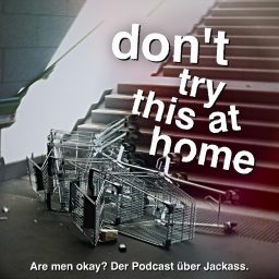 Artwork for don't try this at home