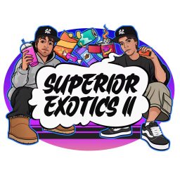 Artwork for Superior Exotics II