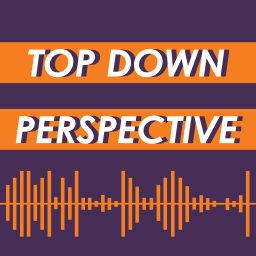 Artwork for Top Down Perspective