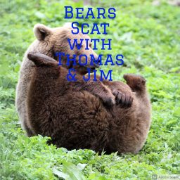 Artwork for Bears Scat with Thomas & Jim