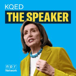 Artwork for The Speaker
