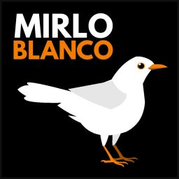Artwork for Mirlo Blanco