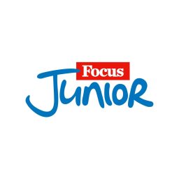 Artwork for Focus Junior