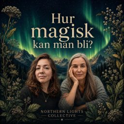 Artwork for Hur magisk kan man bli?