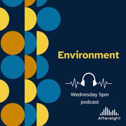 Artwork for Environment