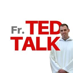 Artwork for Fr. Ted Talk