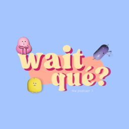 Artwork for Wait, qué?