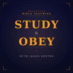 Artwork for Study and Obey