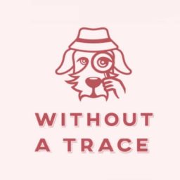Artwork for Without a Trace