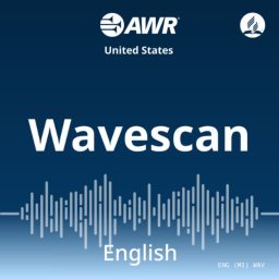 Artwork for Wavescan