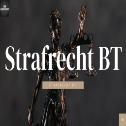 Artwork for Strafrecht BT