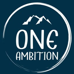 Artwork for One Ambition