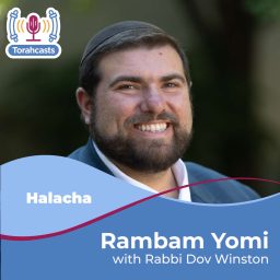 Artwork for Rambam Yomi