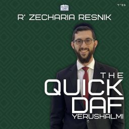 Artwork for The Quick Daf - Yerushalmi