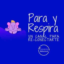 Artwork for Para y Respira